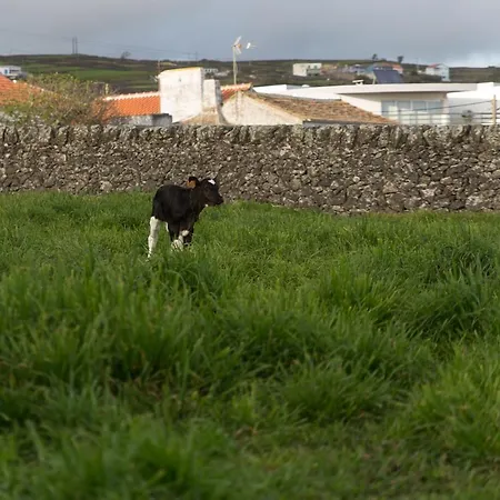 Casa Do Galante Casa de Férias