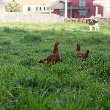 Casa de Férias Casa Do Galante Porto Judeu