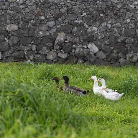 Casa Do Galante Porto Judeu