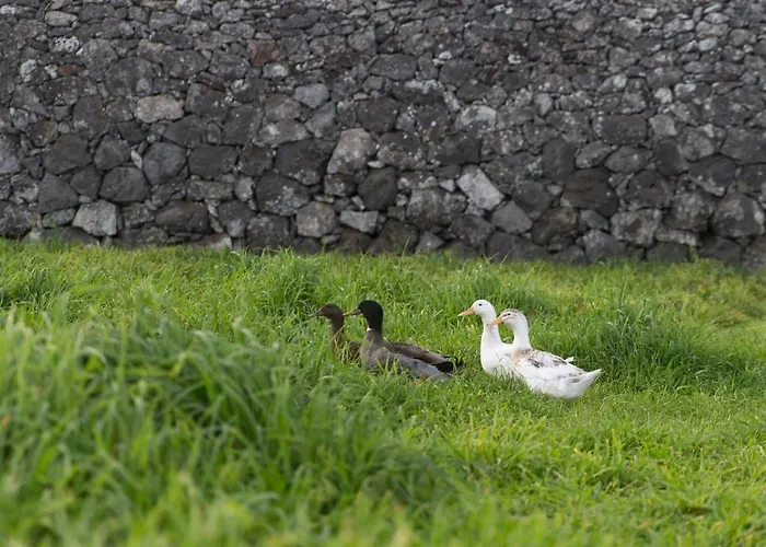 Casa Do Galante Porto Judeu