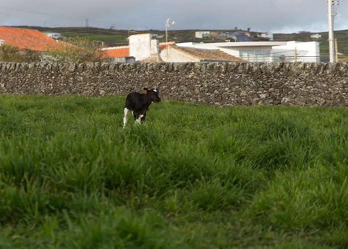 Casa Do Galante בית נופש