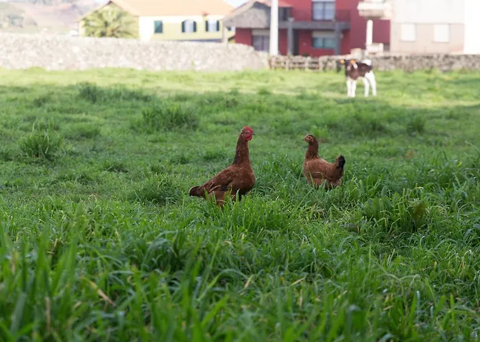 בית נופש Casa Do Galante Porto Judeu